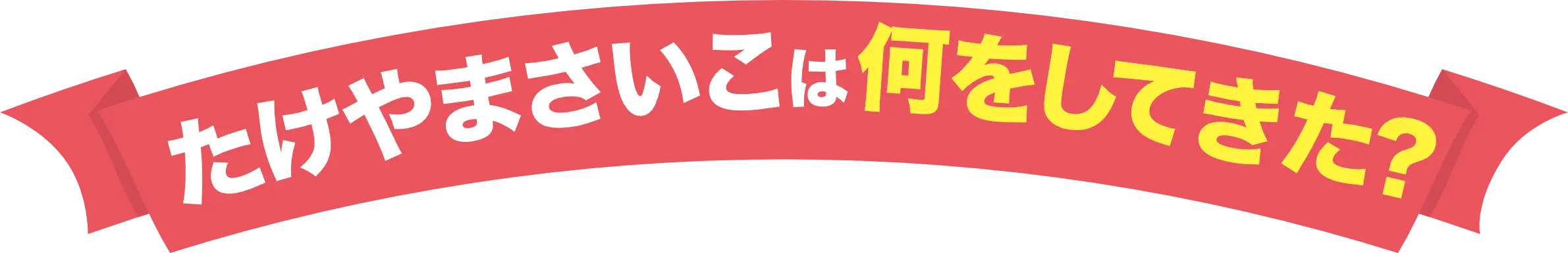 たけやまさいこは何をしてきた？